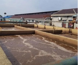 出水氨氮大于進(jìn)水氨氮，怎么回事？