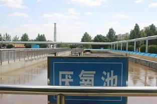 復(fù)合碳源的投加位置—庫巴魯