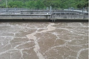 怎么選擇合適的碳源？