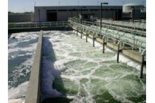 污泥活性不夠？