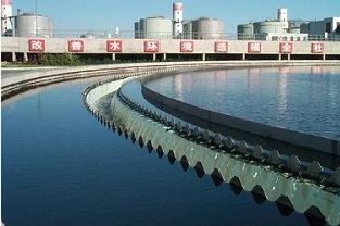 反硝化浮泥該如何預防？你知道嗎？