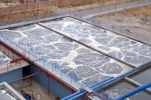 如何除去污廢水中的氮？