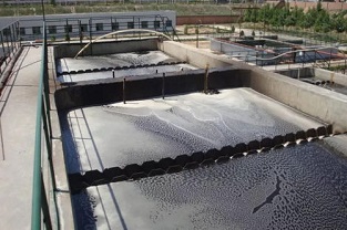 什么是生化處理？