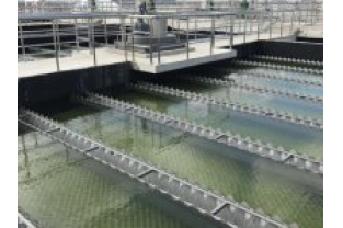 【干貨】有機(jī)物導(dǎo)致的氨氮超標(biāo)?這種情況該如何處理呢？