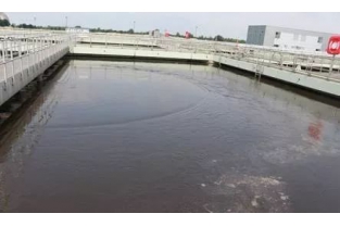 水處理中如何投加藥劑，才能讓脫氮更有效？