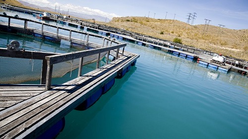 高濃度、高氨氮、難降解廢水