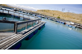 高濃度、高氨氮、難降解廢水生物處理技術(shù)經(jīng)驗(yàn)總結(jié)