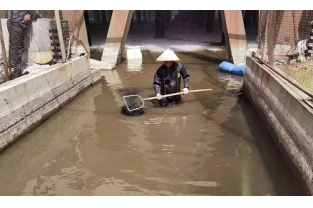 如何對(duì)活性污泥進(jìn)行科學(xué)管控？