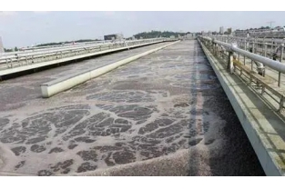 【重要】水中溶解氧越高，處理效果越好么？