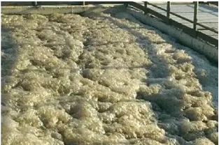 污水處理中的泡沫現(xiàn)象該怎么辦？