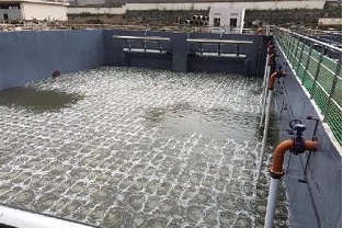 碳源的價(jià)格水漲船高，污水廠如何減少碳源投加量來降低成本？