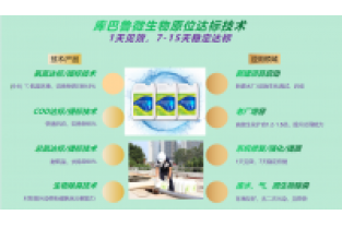 春節(jié)復(fù)工，生化系統(tǒng)快速修復(fù)，確保污水達(dá)標(biāo)排放