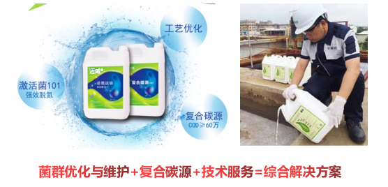 邁葳?總氮原位提標技術(shù)