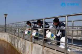 碳氮比失調(diào)，總氮超標(biāo)怎么辦