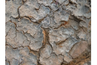 高鹽廢水生化系統(tǒng)如何穩(wěn)定運行？