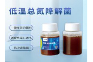 反硝化細(xì)菌在污水處理中的具體應(yīng)用是什么？